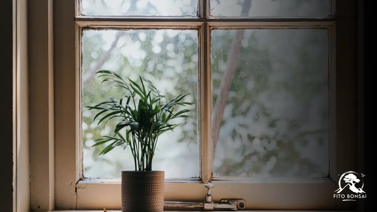 Plantas do Inverno