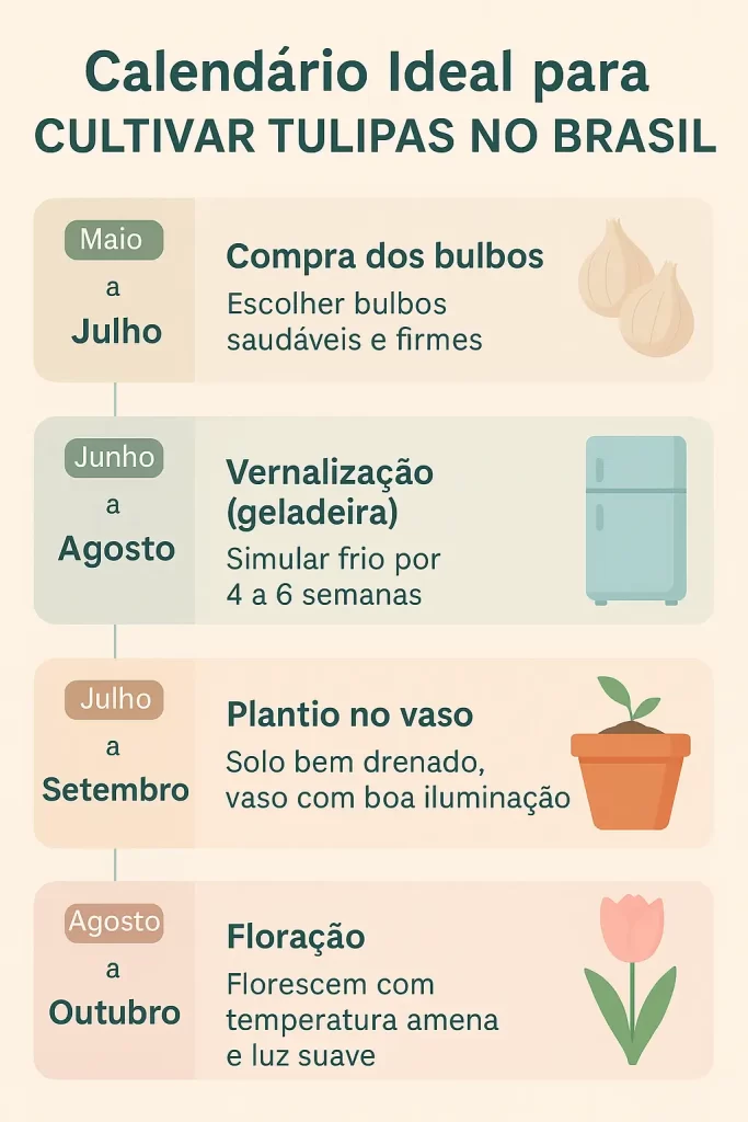 Tulipas